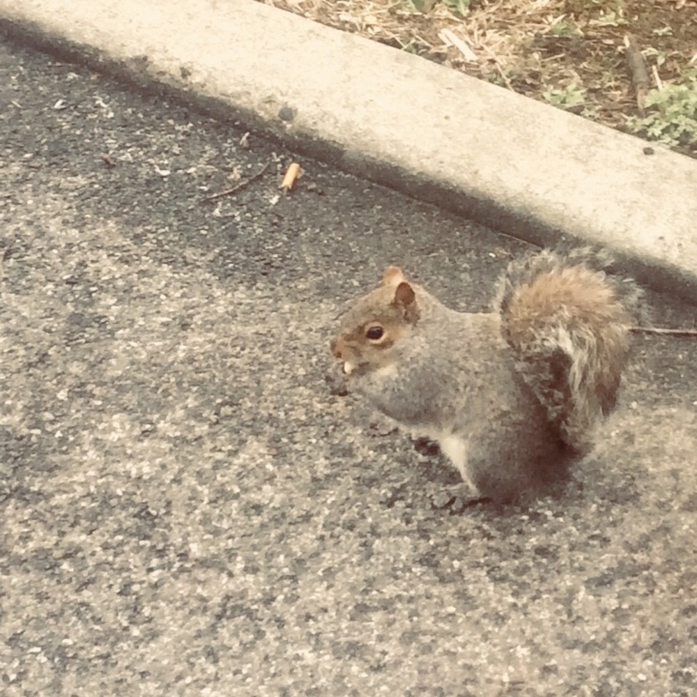 Meet your Posher, Felicità